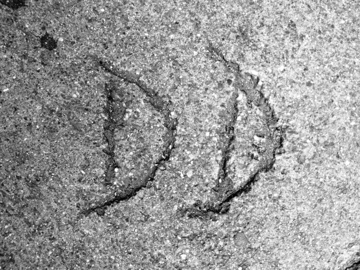 Duran Duran