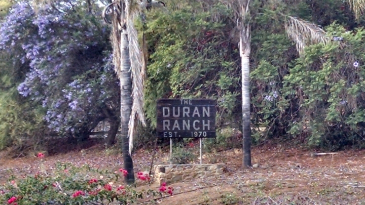 Duran Duran