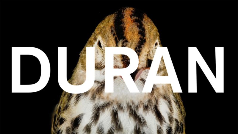 EDGE OF AMERICA - DURAN DURAN